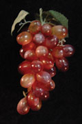 TLV509   GR-42B1-0203-GR52   Гроздь виноградная 4, цвет №3
